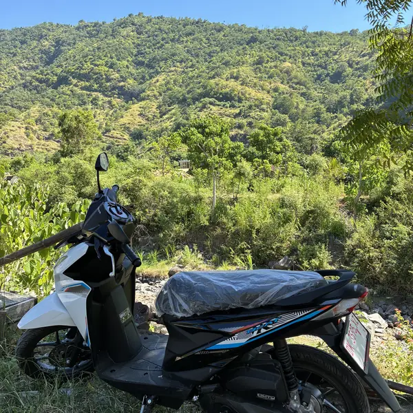 Honda scooter for rent at La Timba